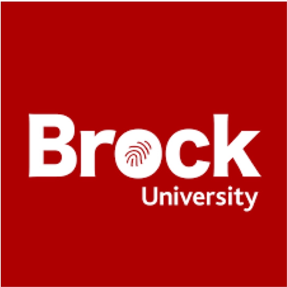 ARTICLE Brock University Students' Blogs